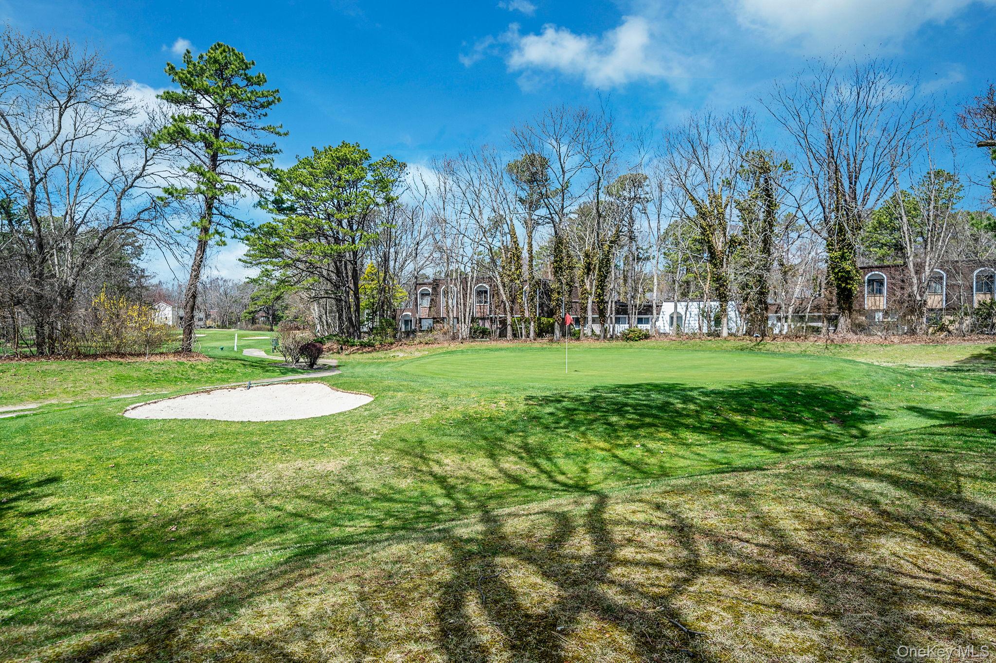 310 Birchwood Road Medford, NY 11763 - Photo 22 of 43 a view of a park with large trees