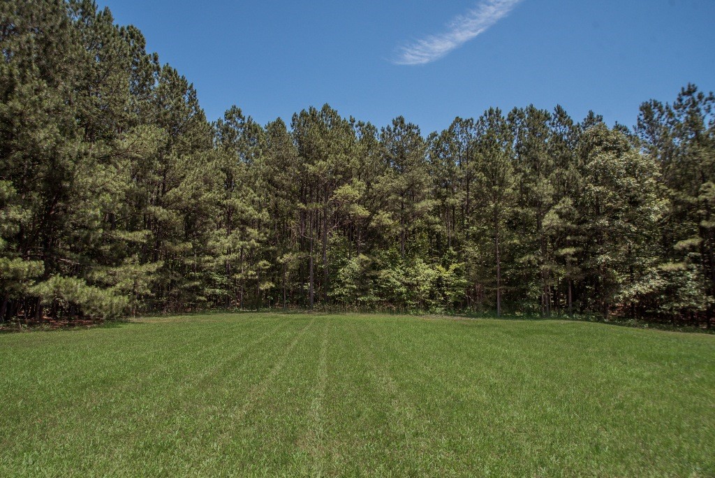 338 Cedar Hill Road Six Mile, SC 29682 - Photo 10 of 47 Gallery Image 10