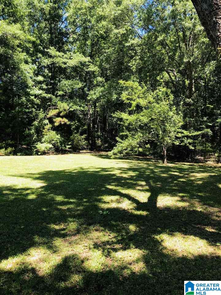 211 Dry Hollow Road Centreville, AL 35042 - Photo 40 of 45