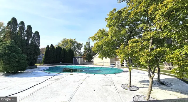 a park view with large trees