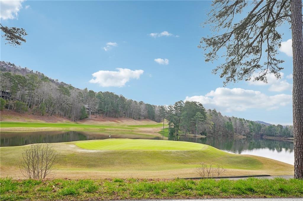 135 Chestnut Rise Trail, Unit 441D Big Canoe, GA 30143 - Photo 43 of 45