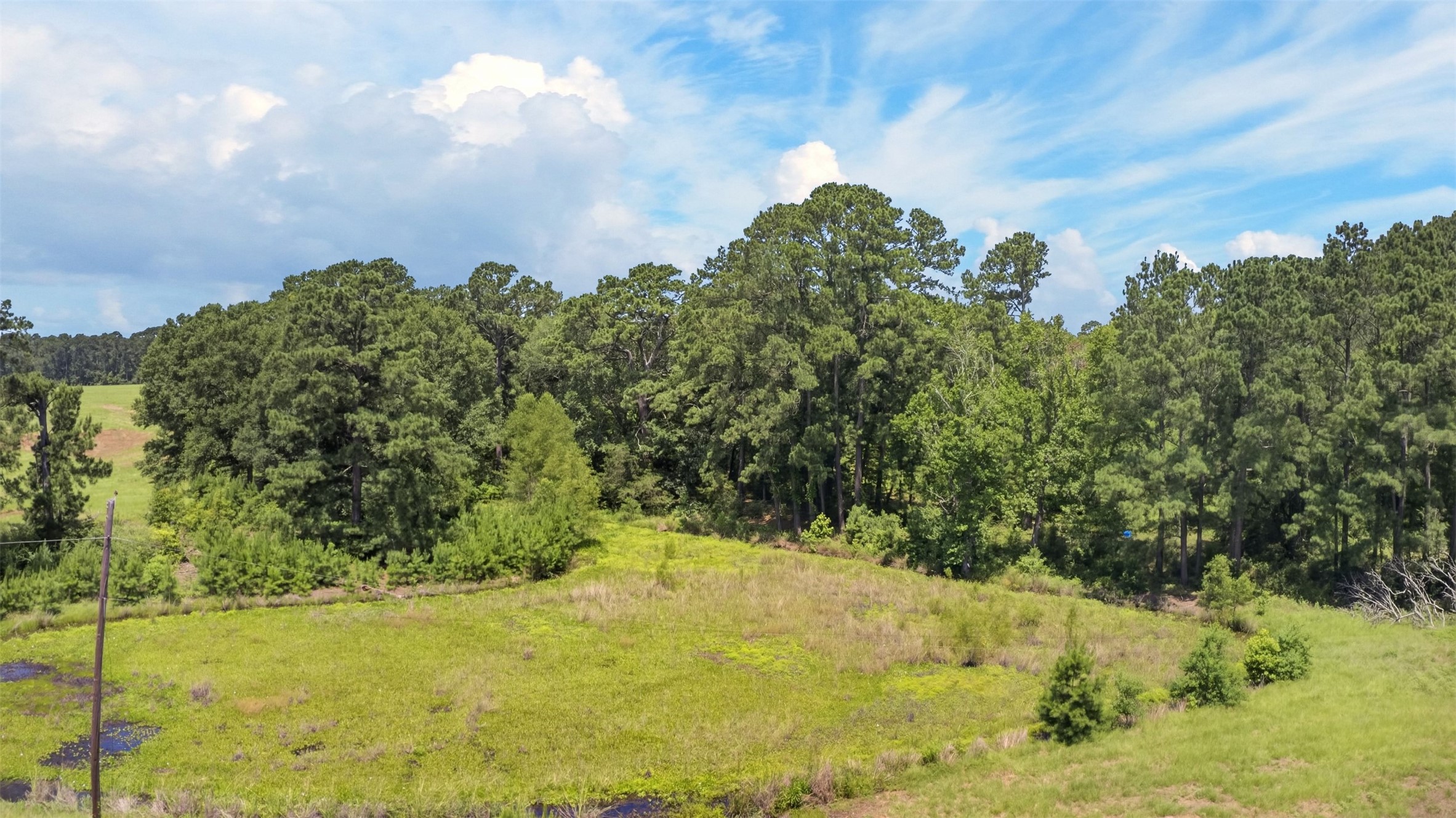 304 / San Antonio Road Crockett, TX 75835 - Photo 13 of 48
