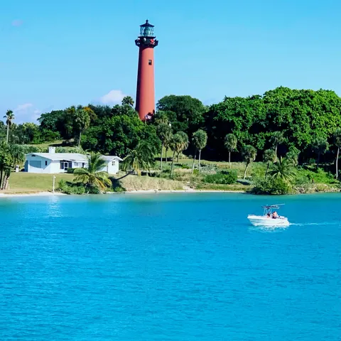 a view of a garden with swimming pool