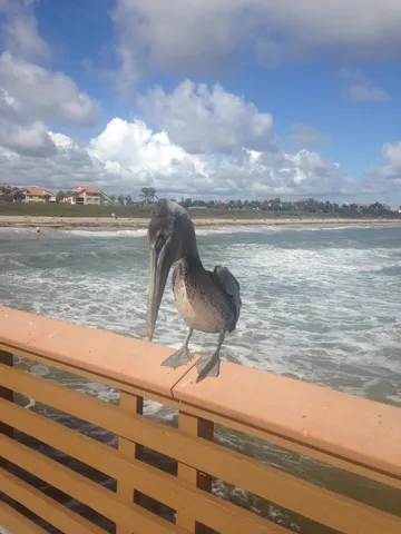 a view of a lake from a balcony