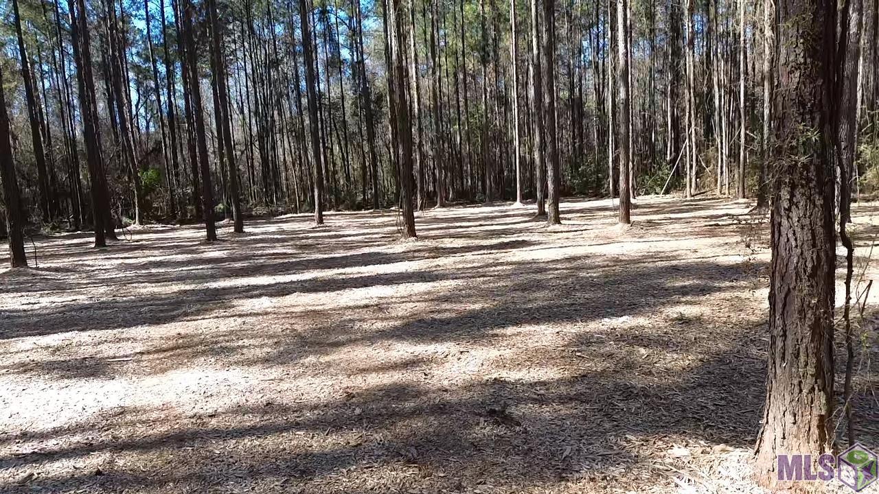 Tract 2-a-1-c Tract 2-a-1-c Road Clinton, LA 70722 - Photo 5 of 10