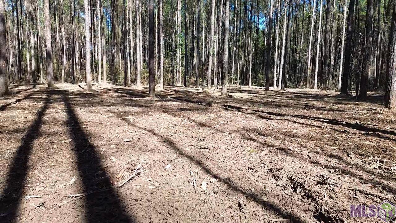 Tract 2-a-1-c Tract 2-a-1-c Road Clinton, LA 70722 - Photo 7 of 10