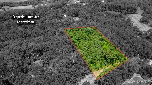 $30,000 | Lots B-63-65 Lots B-63-65 Bella Vista Drive, Jackson, MO 63755