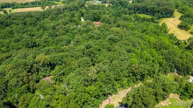 $30,000 | Lots B-63-65 Lots B-63-65 Bella Vista Drive, Jackson, MO 63755