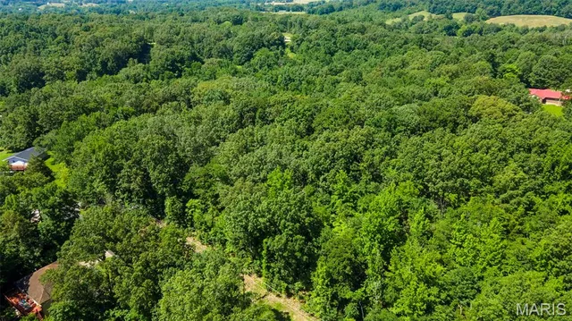 $30,000 | Lots B-63-65 Lots B-63-65 Bella Vista Drive, Jackson, MO 63755