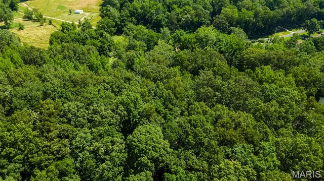 $30,000 | Lots B-63-65 Lots B-63-65 Bella Vista Drive, Jackson, MO 63755