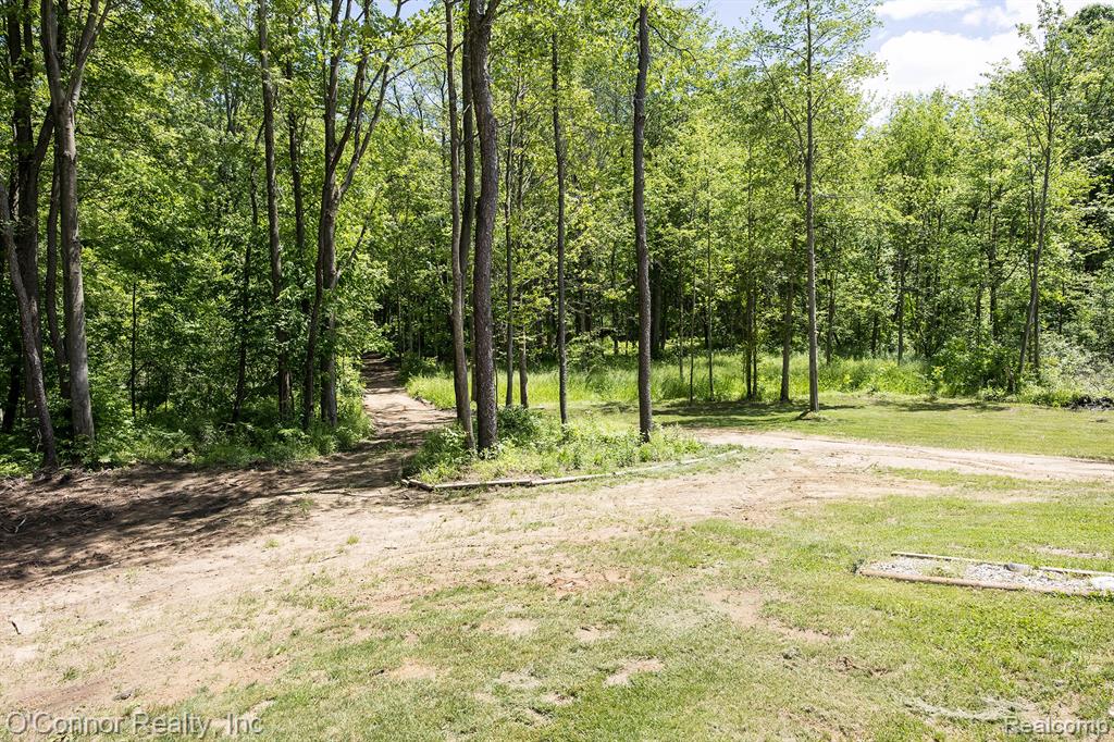 3650 Rabidue Road North Street, MI 48049 - Photo 45 of 53