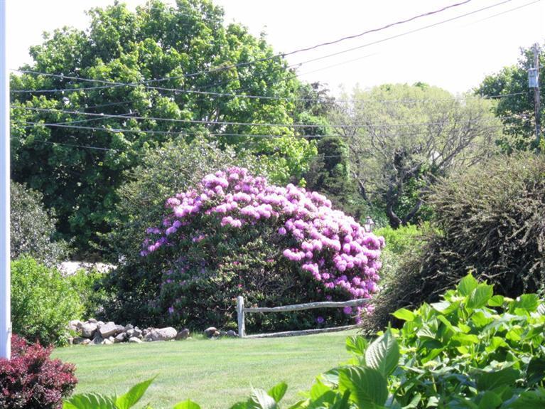22 Samoset Road Orleans, MA 02653 - Photo 21 of 31 a front view of a house with a yard and fountain