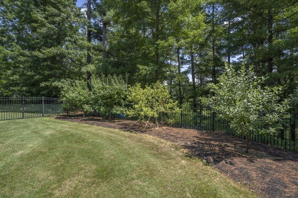 52 Upland Drive Middleboro, MA 02346 - Photo 34 of 40 a view of a yard with a tree