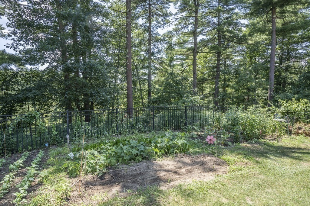 52 Upland Drive Middleboro, MA 02346 - Photo 35 of 40 a backyard of a house with lots of green space and fog