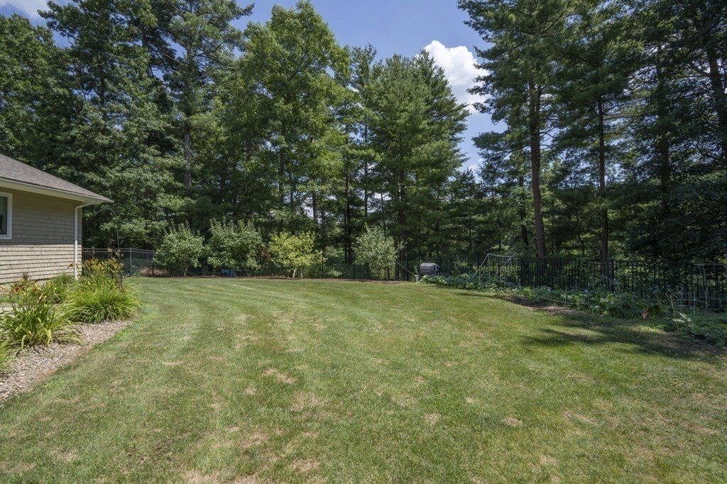 52 Upland Drive Middleboro, MA 02346 - Photo 36 of 40 a view of a yard with a tree