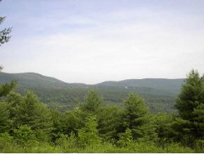 Lot #4 Green Peak Ridge Manchester, VT 05255 - Photo 1 of 1 Gallery Image 1