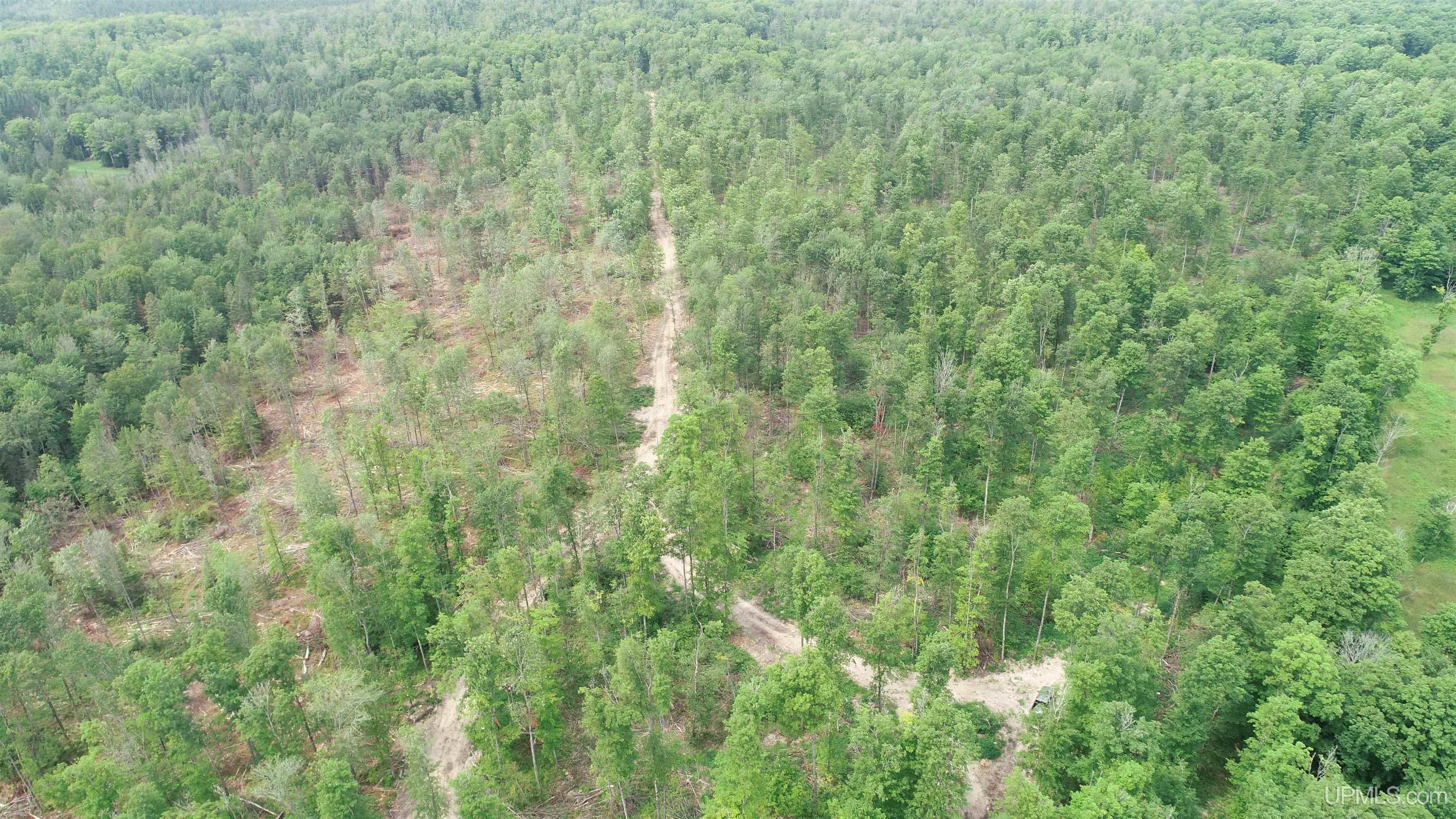 23 Camp 23 Road, Unit SOUTH PARCEL Germfask, MI 49836 - Photo 5 of 9