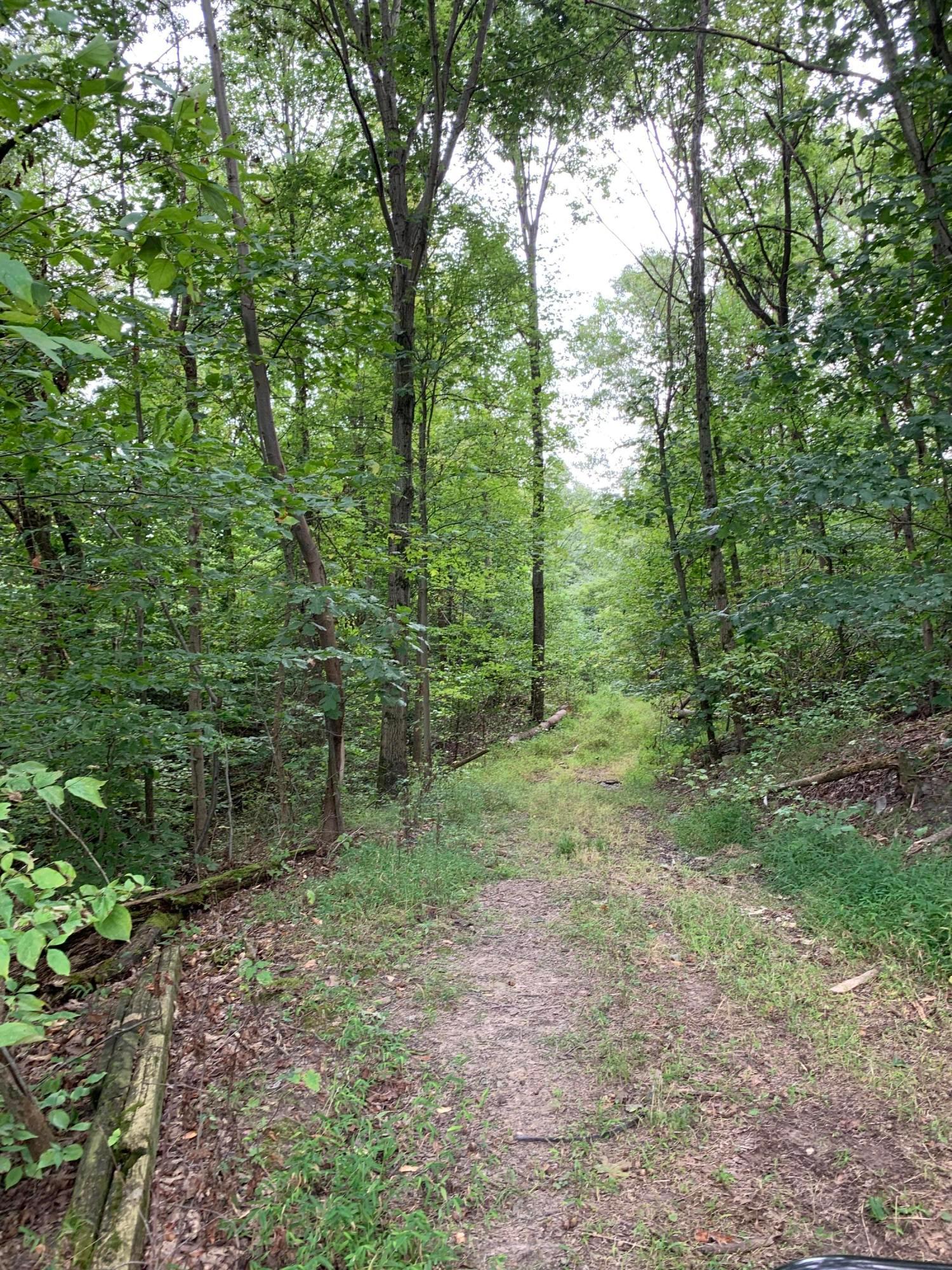 0 Cherry Run Road Northwest Strasburg, OH 44680 - Photo 11 of 35 20200916_192952880_iOS