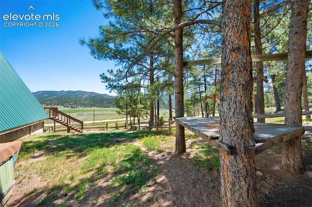 5463 High Park Road Florissant, CO 80816 - Photo 31 of 49
