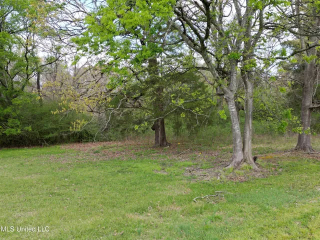 $549,000 | 3591 Hwy 51 Madison Ms 39110, Canton, MS 39046