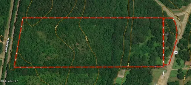 $549,000 | 3591 Hwy 51 Madison Ms 39110, Canton, MS 39046