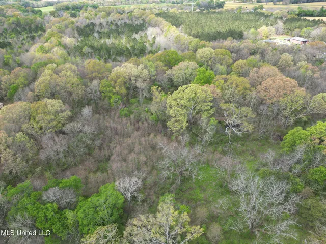 $549,000 | 3591 Hwy 51 Madison Ms 39110, Canton, MS 39046