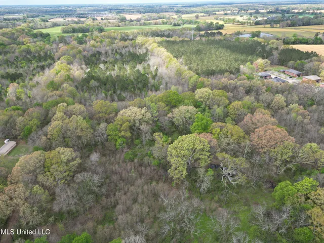 $549,000 | 3591 Hwy 51 Madison Ms 39110, Canton, MS 39046