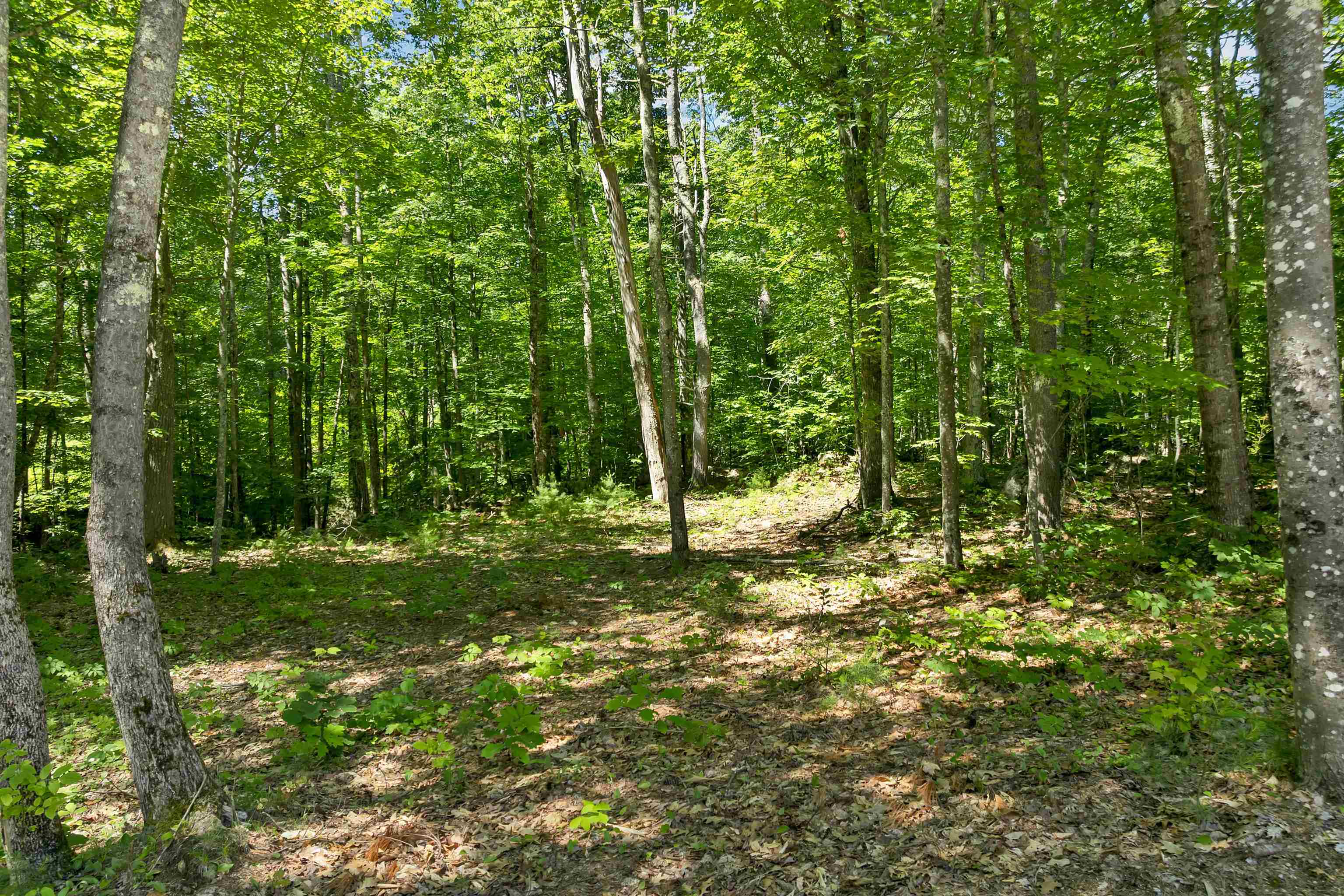 0 Beaver Pond Road Moultonborough, NH 03254 - Photo 33 of 46