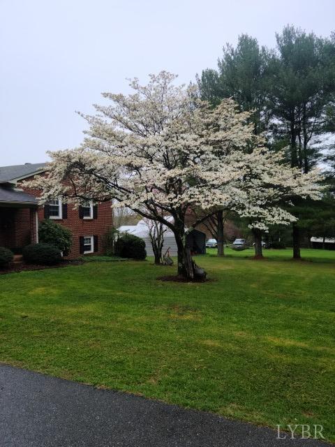 443 Wiggington Road Lynchburg, VA 24501 - Photo 5 of 42 a view of a house with a big yard