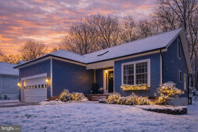 a view of a park with a bench and trees