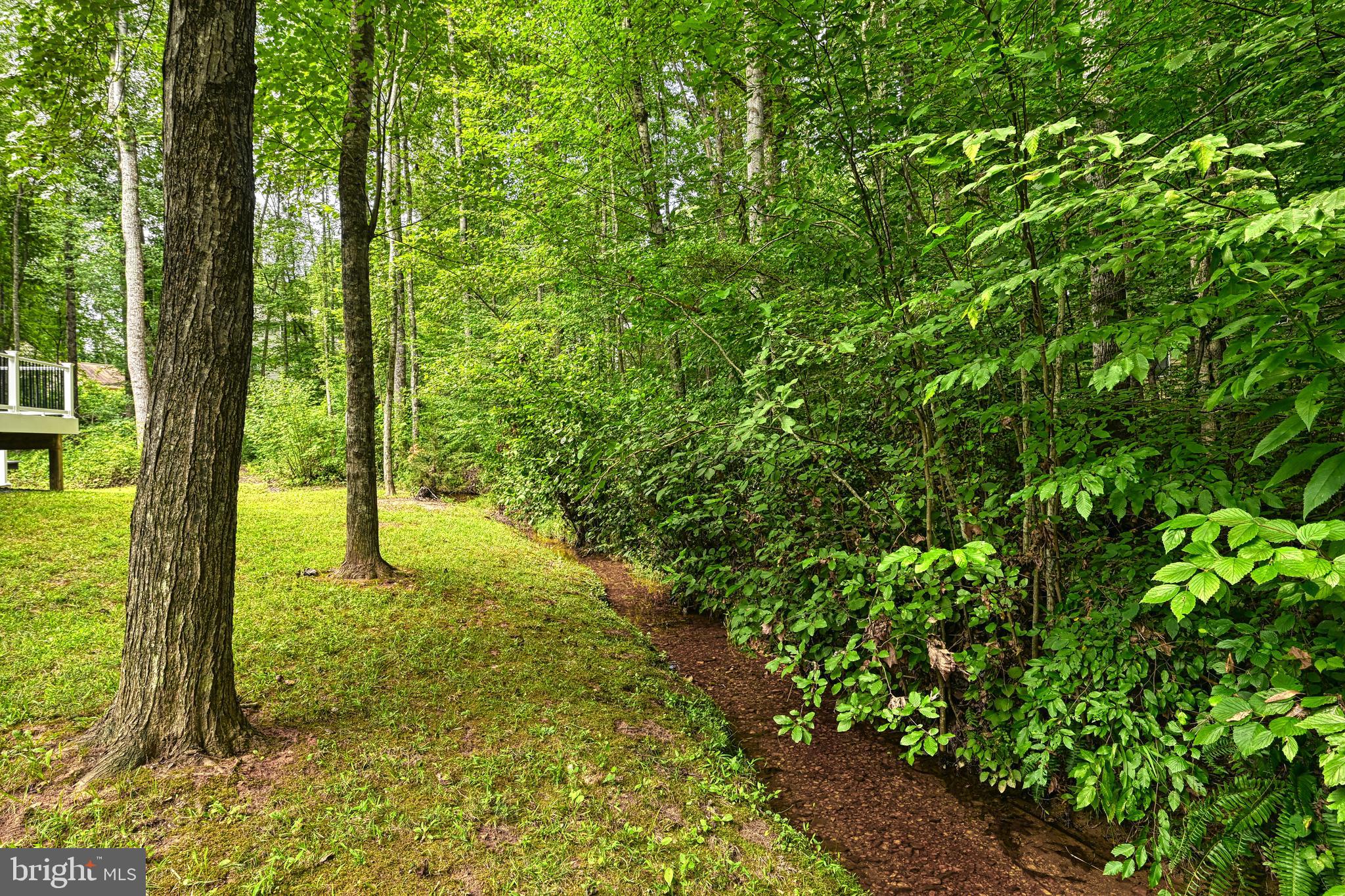 222 Battlefield Road Locust Grove, VA 22508 - Photo 53 of 84 a view of outdoor space and trees