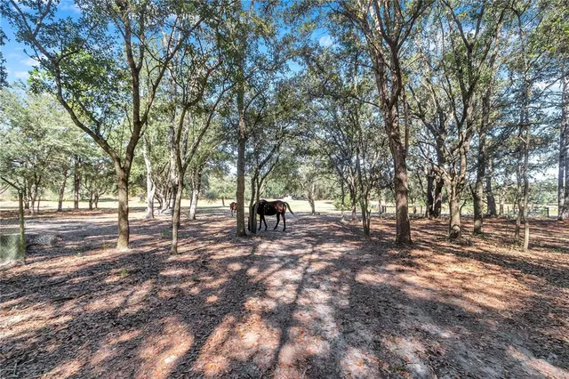 $699,000 | 11151 Southeast 30th Street, Morriston, FL 32668