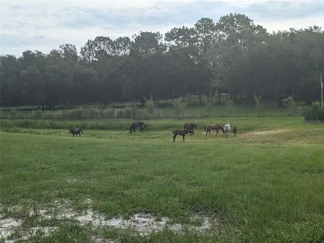 $699,000 | 11151 Southeast 30th Street, Morriston, FL 32668