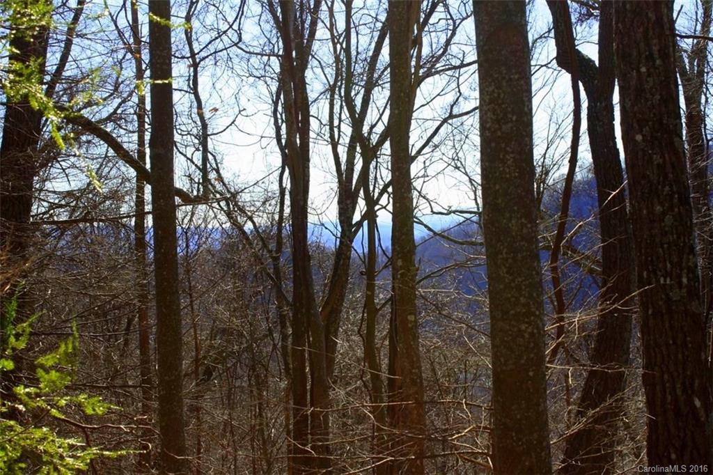 Lot 4 Granny Shepherd Road, Unit 4 Mars Hill, NC 28754 - Photo 1 of 14 Gallery Image 1