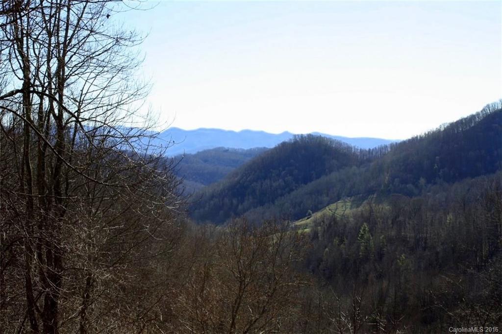 Lot 4 Granny Shepherd Road, Unit 4 Mars Hill, NC 28754 - Photo 2 of 14 Gallery Image 2
