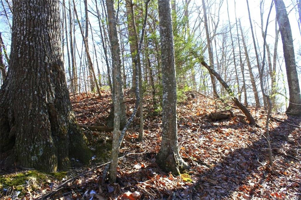 Lot 4 Granny Shepherd Road, Unit 4 Mars Hill, NC 28754 - Photo 4 of 14 Gallery Image 4