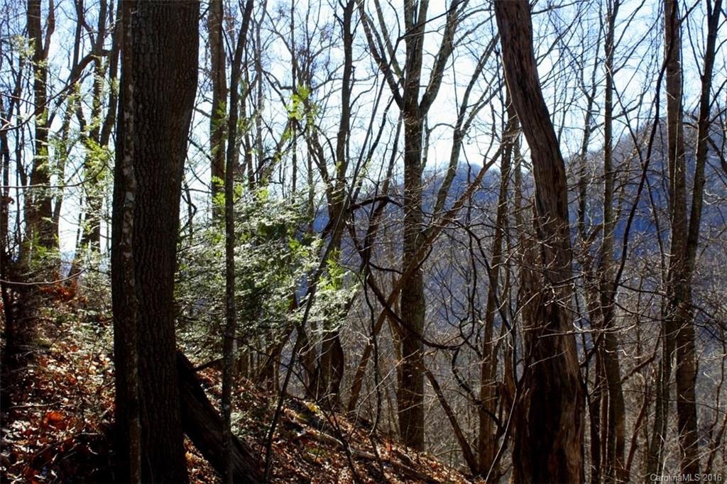 Lot 4 Granny Shepherd Road, Unit 4 Mars Hill, NC 28754 - Photo 5 of 14 Gallery Image 5