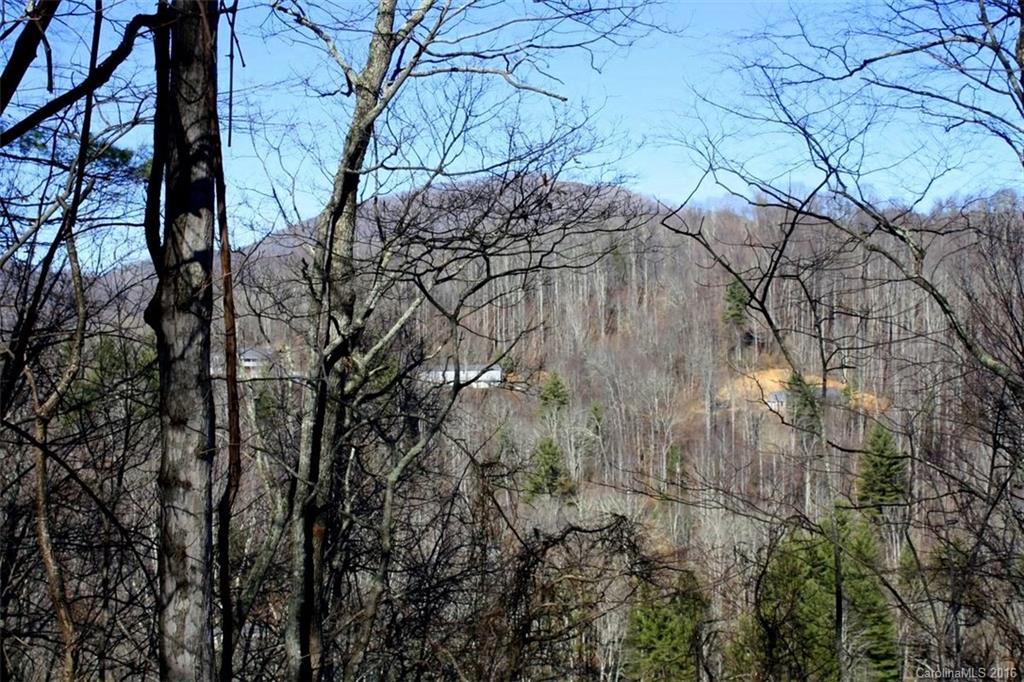 Lot 4 Granny Shepherd Road, Unit 4 Mars Hill, NC 28754 - Photo 6 of 14 Gallery Image 6