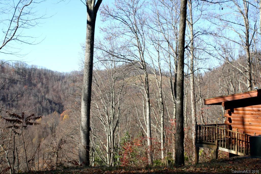 Lot 4 Granny Shepherd Road, Unit 4 Mars Hill, NC 28754 - Photo 8 of 14 Gallery Image 8