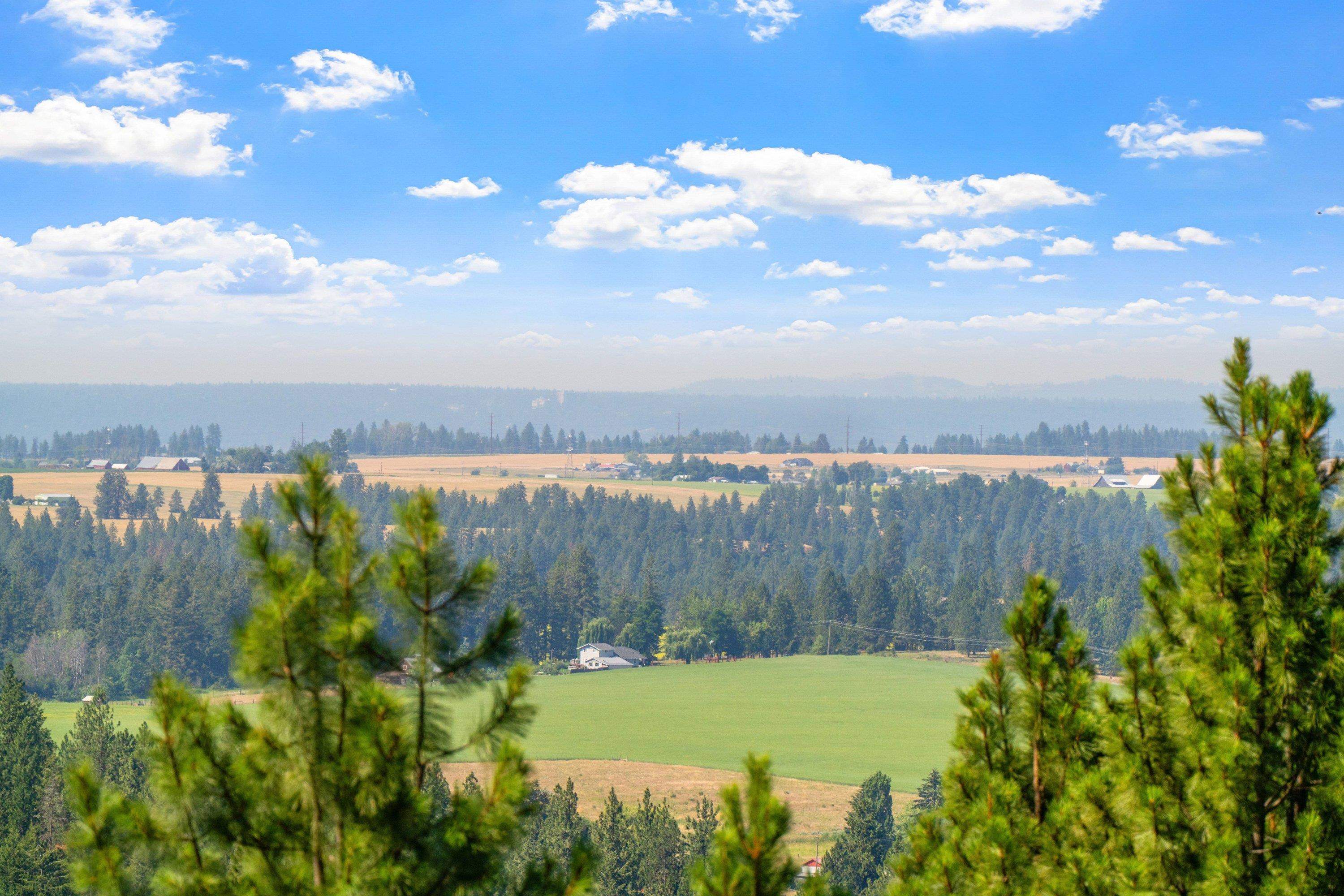 16315 East Temple Road Spokane, WA 99217 - Photo 44 of 49