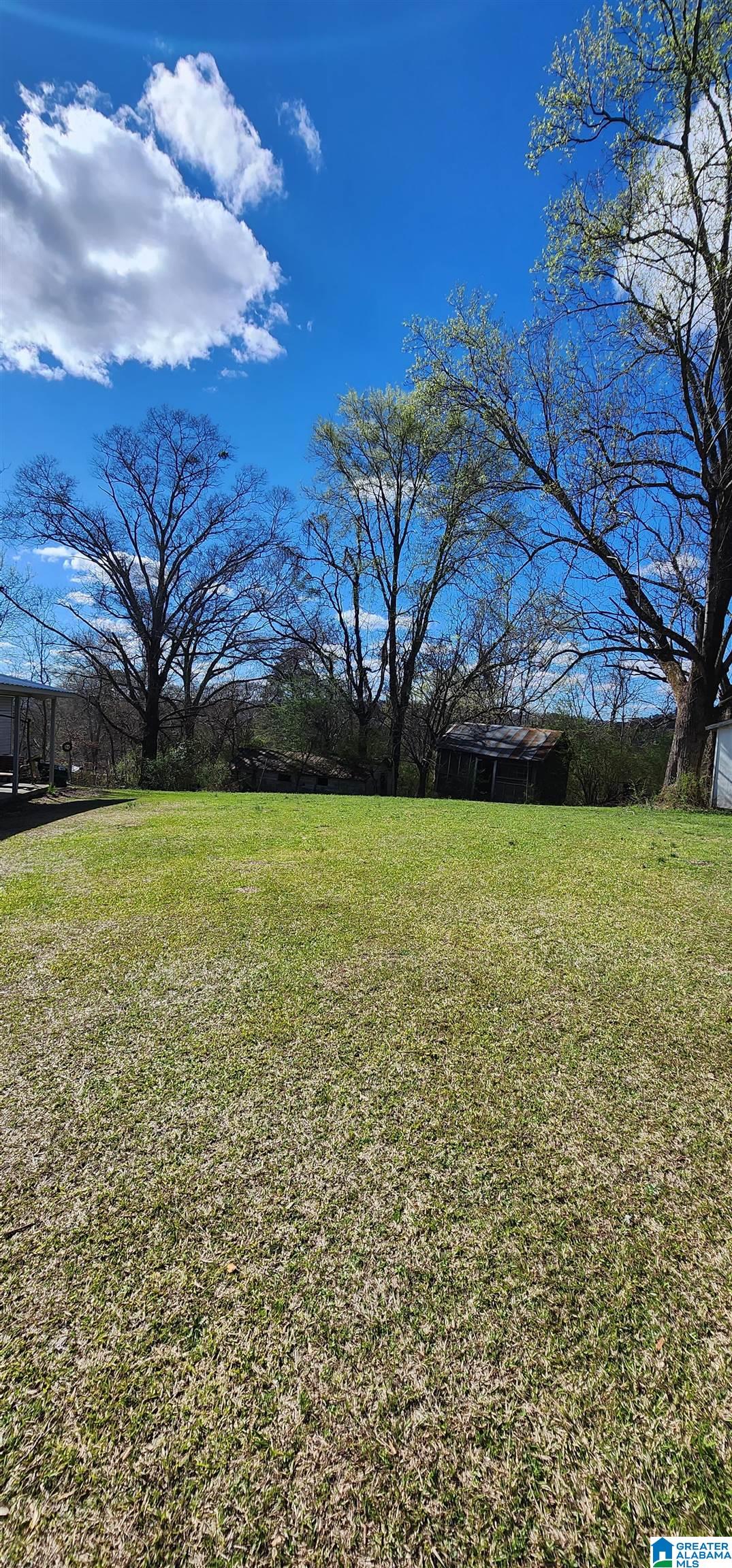 608 A Street South Oneonta, AL 35121 - Photo 25 of 28