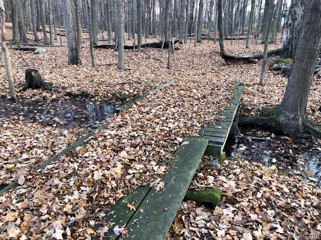 0 East Brocker Road Metamora, MI 48455 - Photo 22 of 25