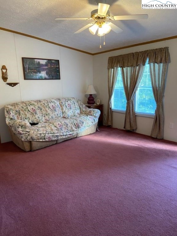 891 Rainbow Trail Boone, NC 28607 - Photo 5 of 24 Gallery Image 5