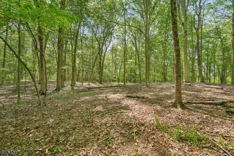 0 Homestead Road Gillette, NJ 07933 - Photo 12 of 26