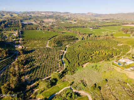 a view of a city with lush green forest