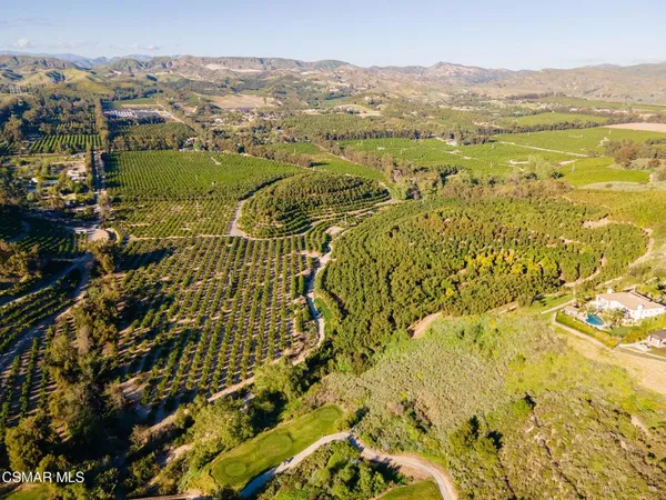 a view of a city with lush green forest