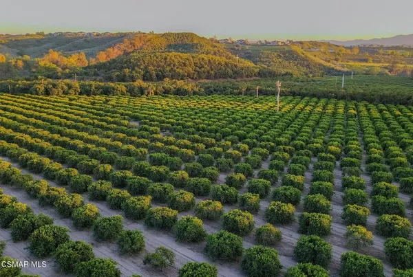 a view of a house with large trees and a small barn