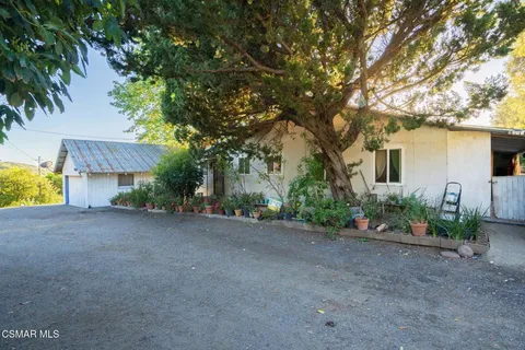 a view of a garden with a flower