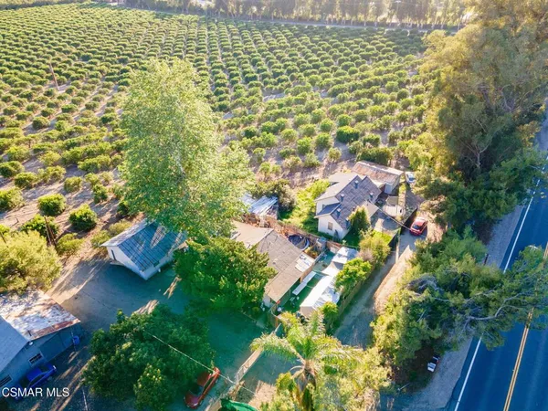 a front view of a house with a yard and tree s