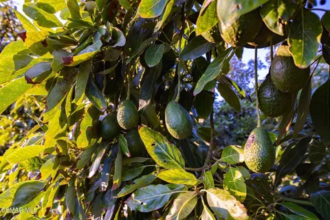 a view of city and mountain